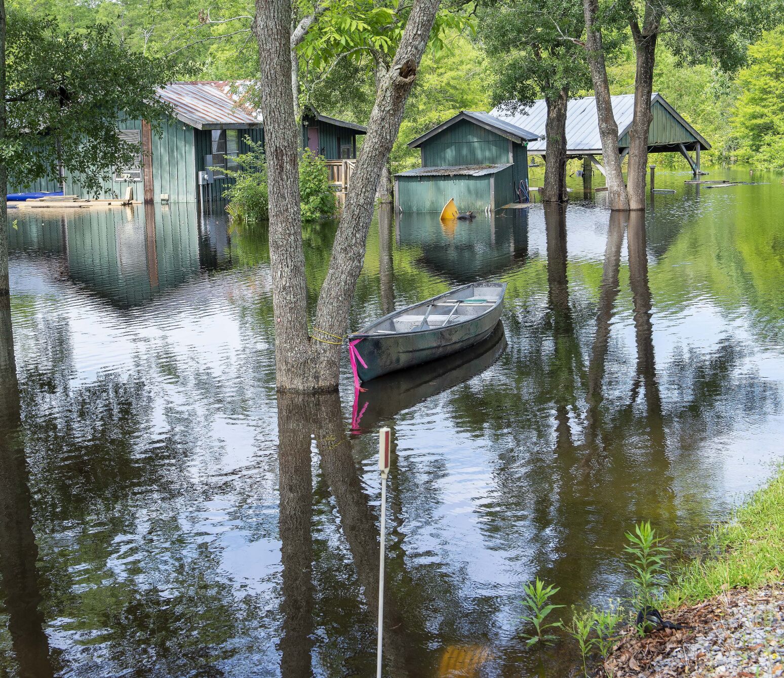 BR.floodfolo.052521 0396 bf.jpg